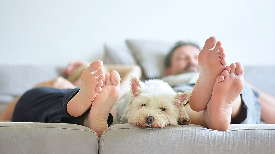 Frau, Mann und Hund liegend auf dem Sofa